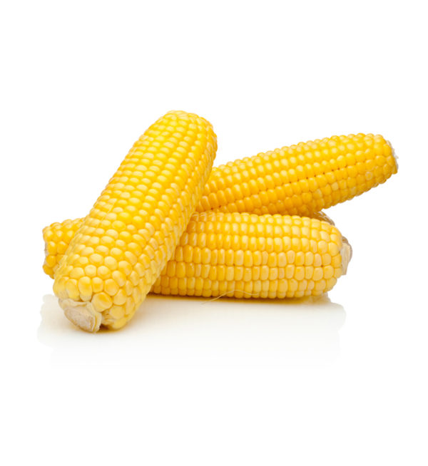 maíz-hervido