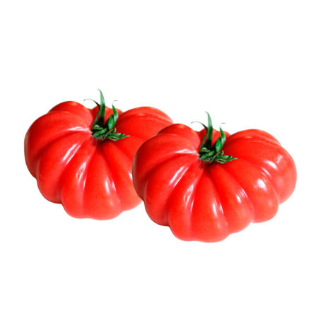 tomate monterosa